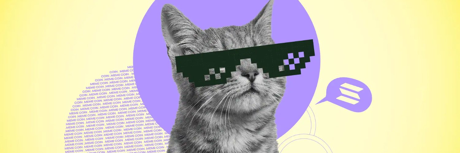 Memes of Solana! 🌴 🏁 banner