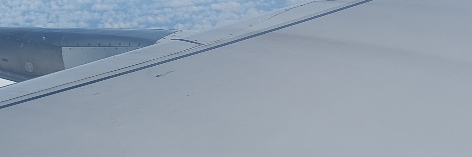 Janus banner