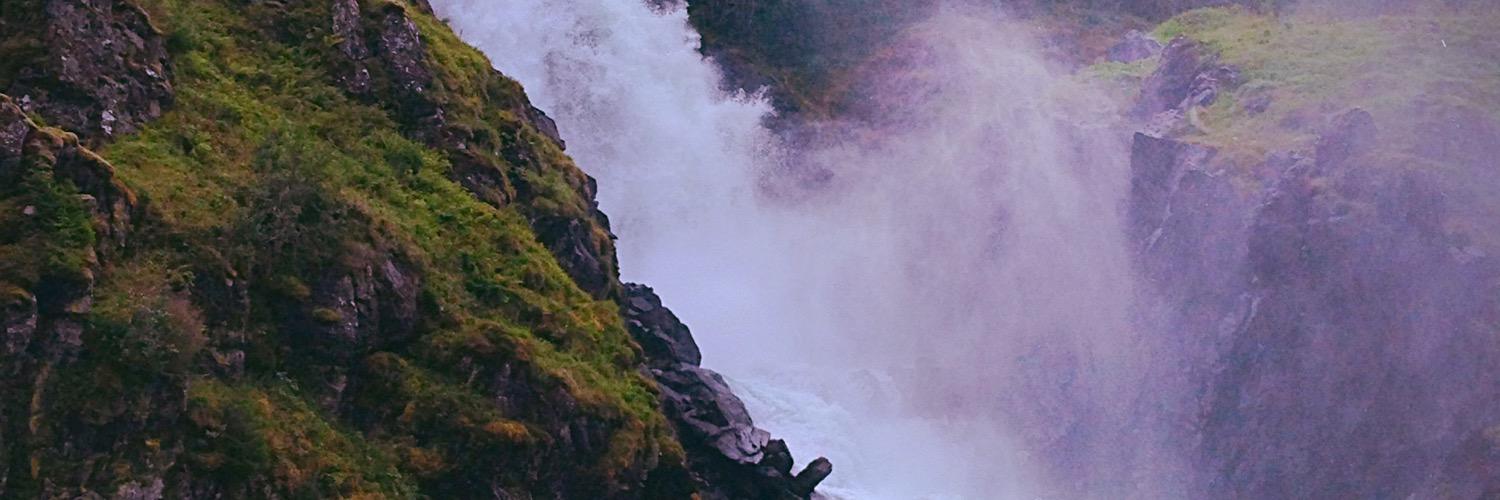 denhogenb's profile banner image