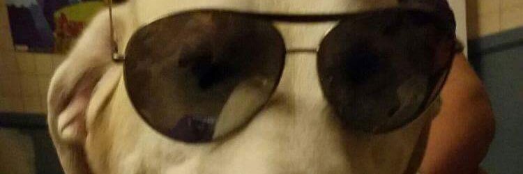 alrighty then banner