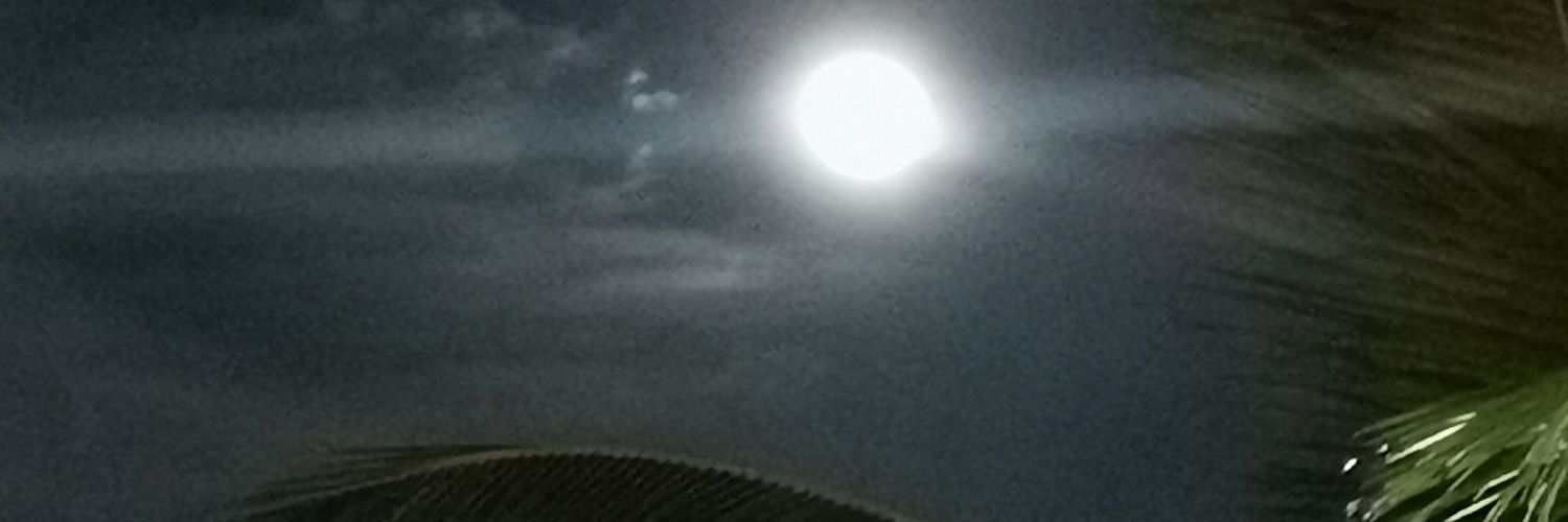 mariacrisrb's profile banner image