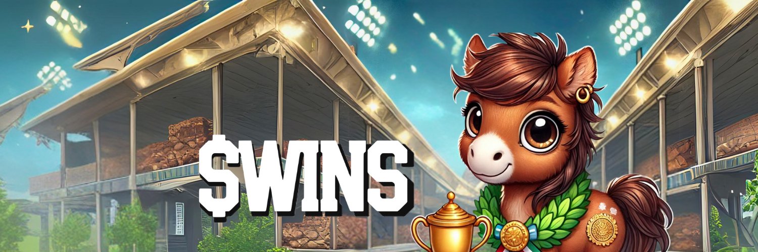 WinsSynd's profile banner image