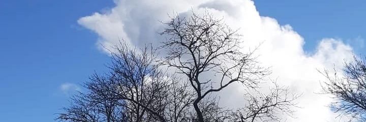 retnowijay's profile banner image