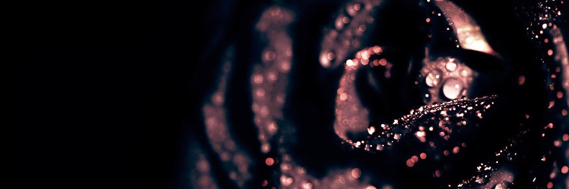 corvus13's profile banner image