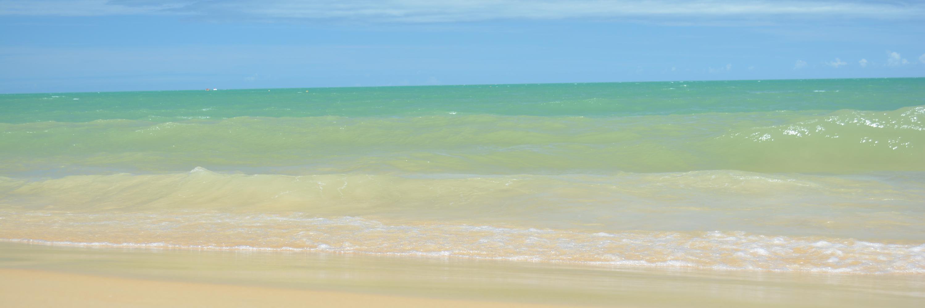 harvertvanegas's profile banner image