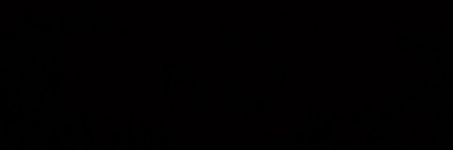 🪡 banner