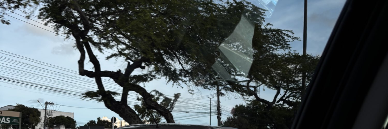 Pietro banner