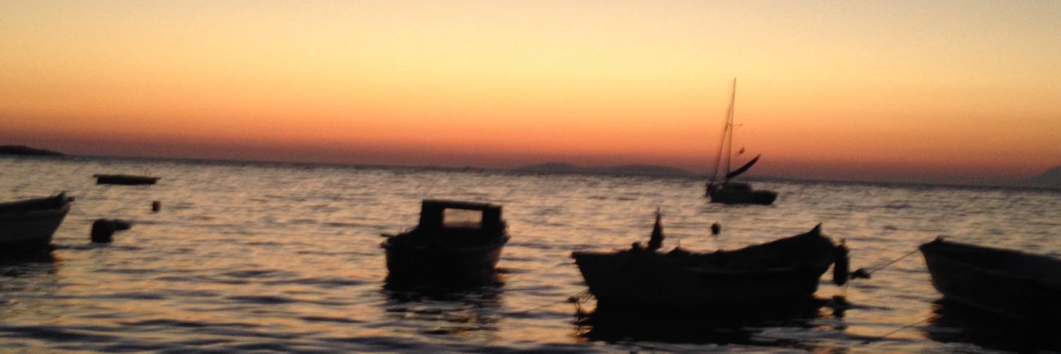 losemi's profile banner image