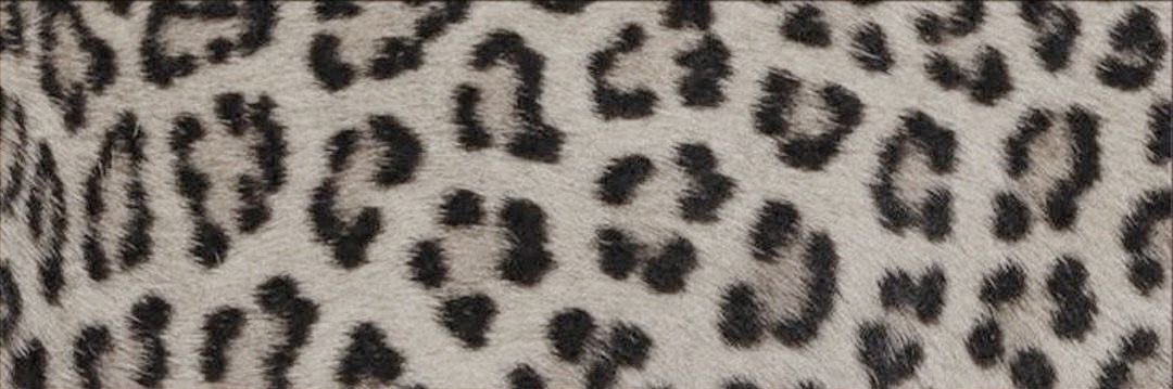 marcochoch0's profile banner image