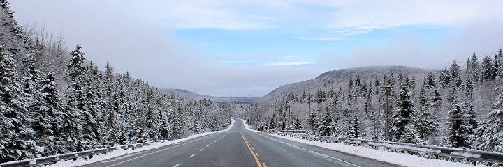 Anthony White banner