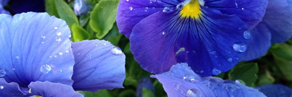 contextures Profile Banner