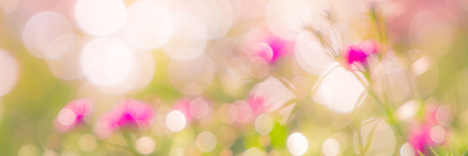 KatWells0's profile banner image