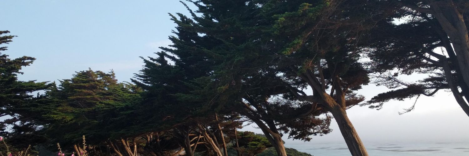 RJThompson3rd's profile banner image