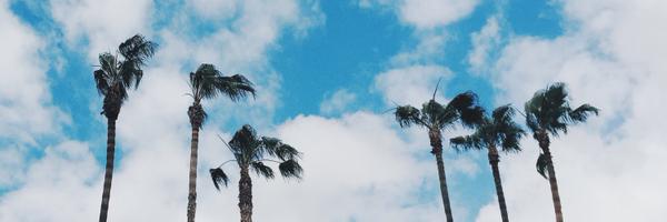 howett Profile Banner