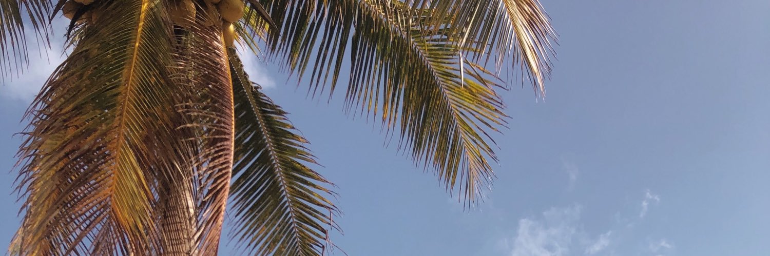 victorialupi's profile banner image