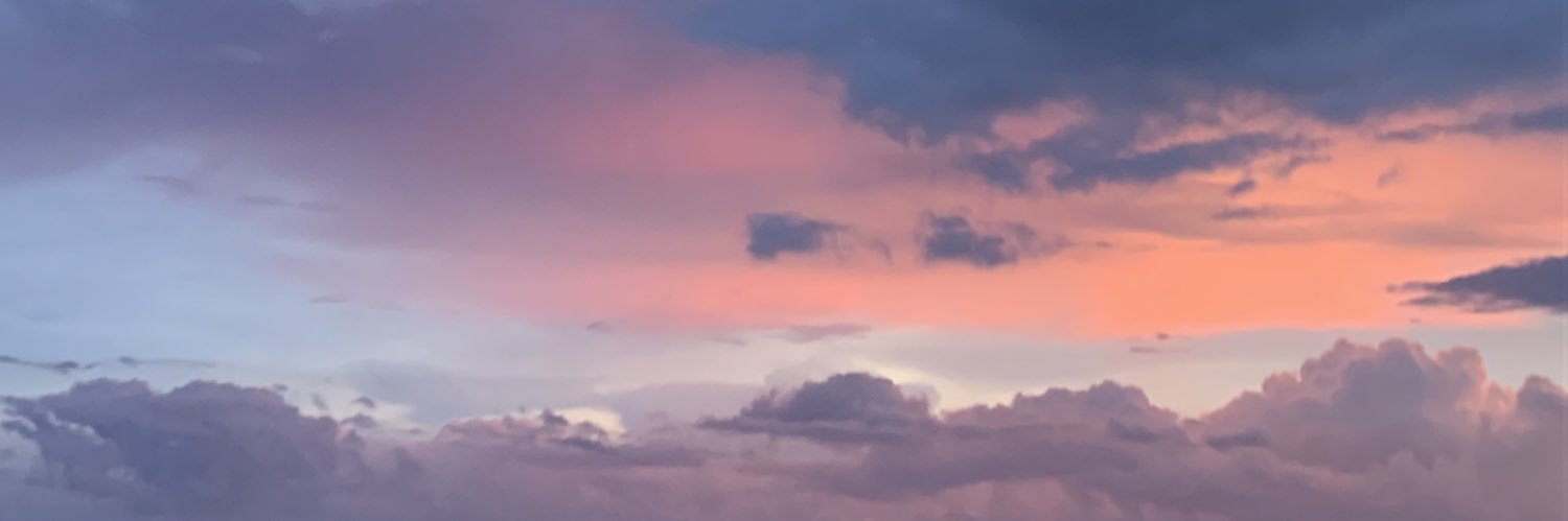 hannasupit's profile banner image