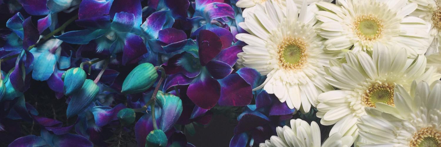 mysmallerselves's profile banner image