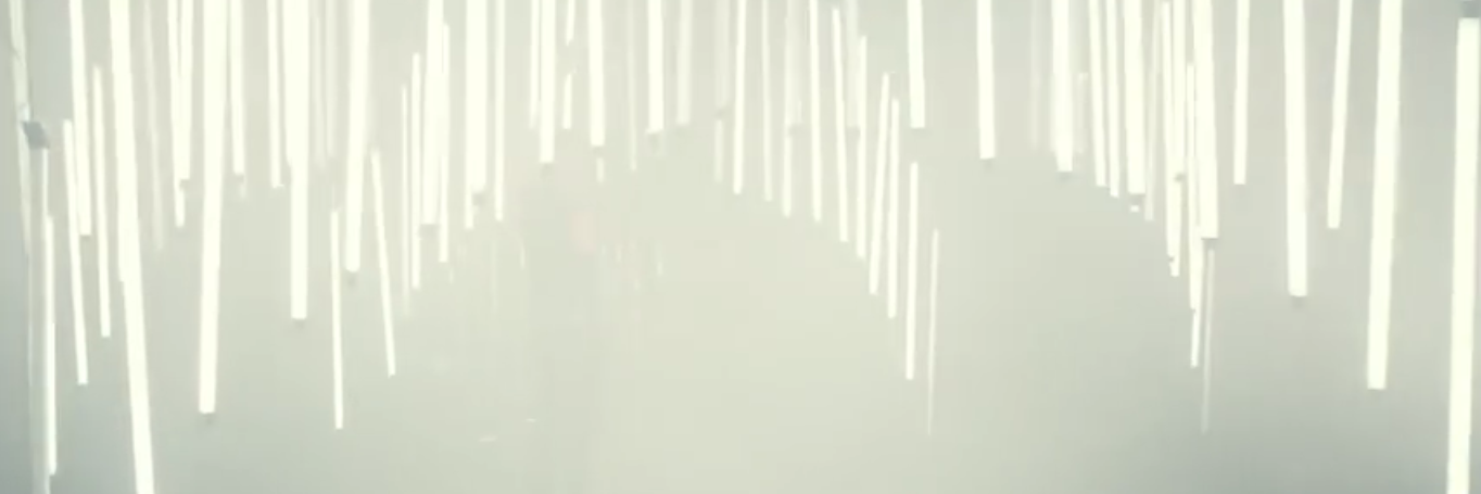 Boss_ToeSocks's profile banner image