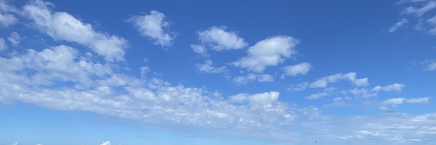 JuliaBocale's profile banner image