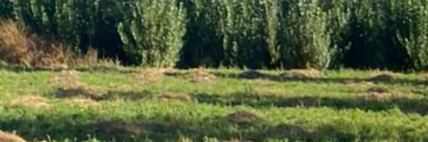 ITInternac33767 Profile Banner