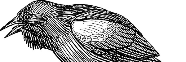 mirlospace Profile Banner