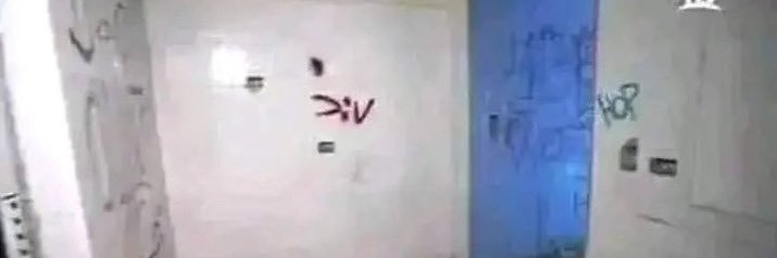 dani🇲🇽✃ banner