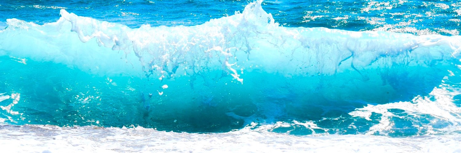 Ocean Education's banner