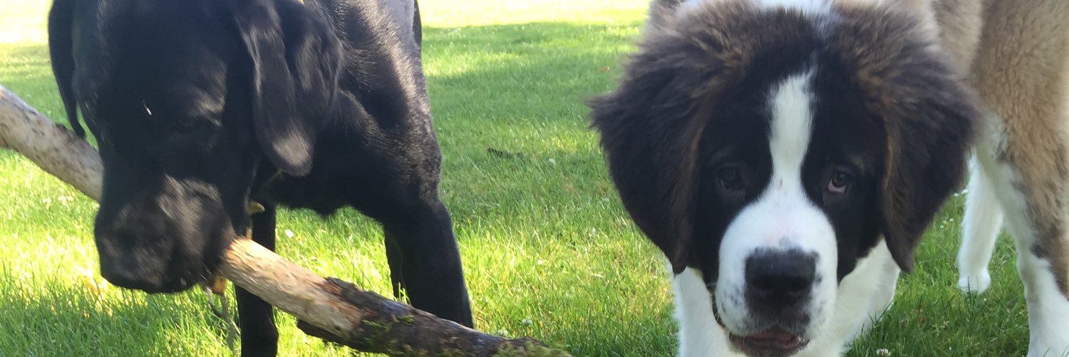 presleydak's profile banner image