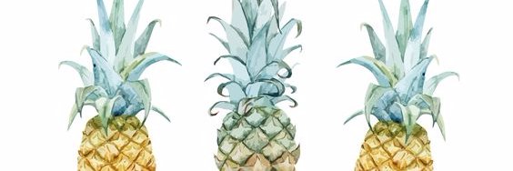 iamkatelynwells's profile banner image