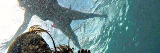 aranunzu37's profile banner image
