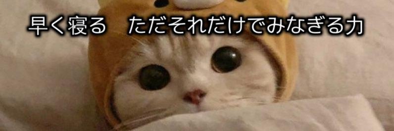 SHYO's profile banner image