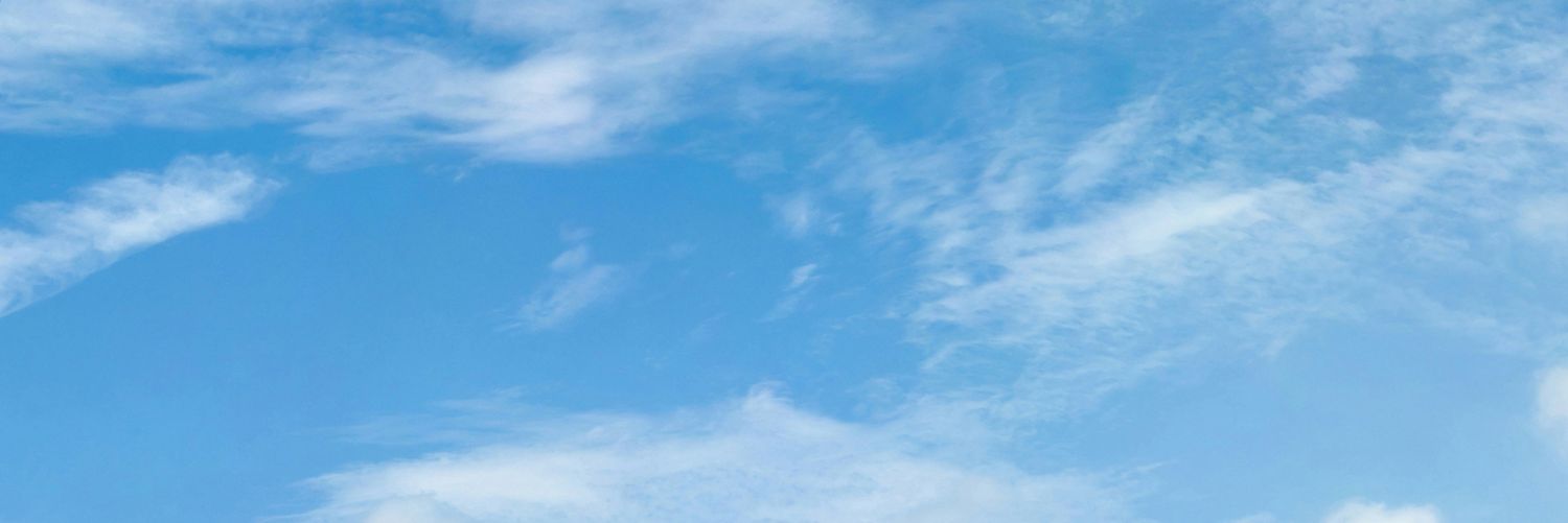 waveveawave's profile banner image