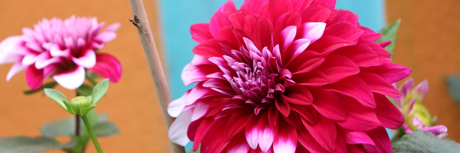 paresh1973's profile banner image