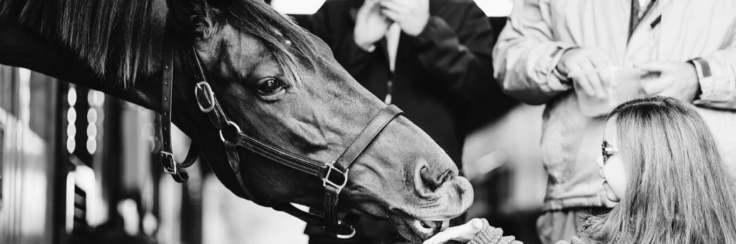 LightUpRacing banner