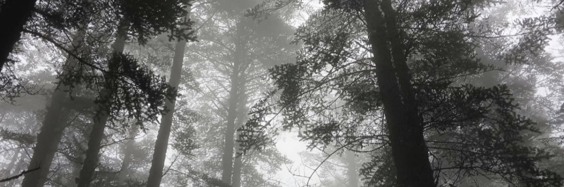 向天打飞机 banner