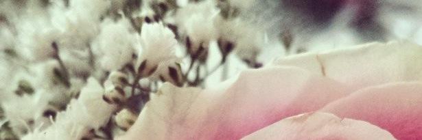 nanag207's profile banner image