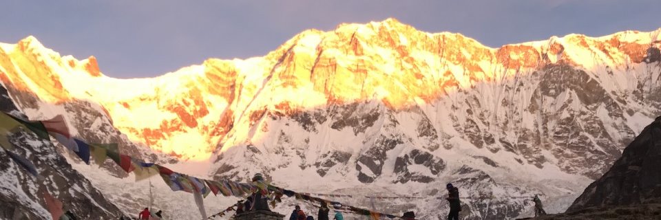 Andrea Durkin banner