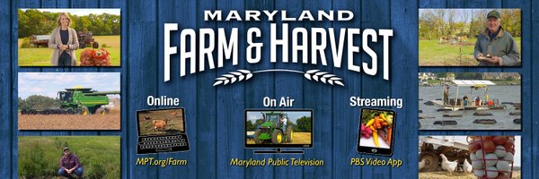 MDFarmTV Profile Banner