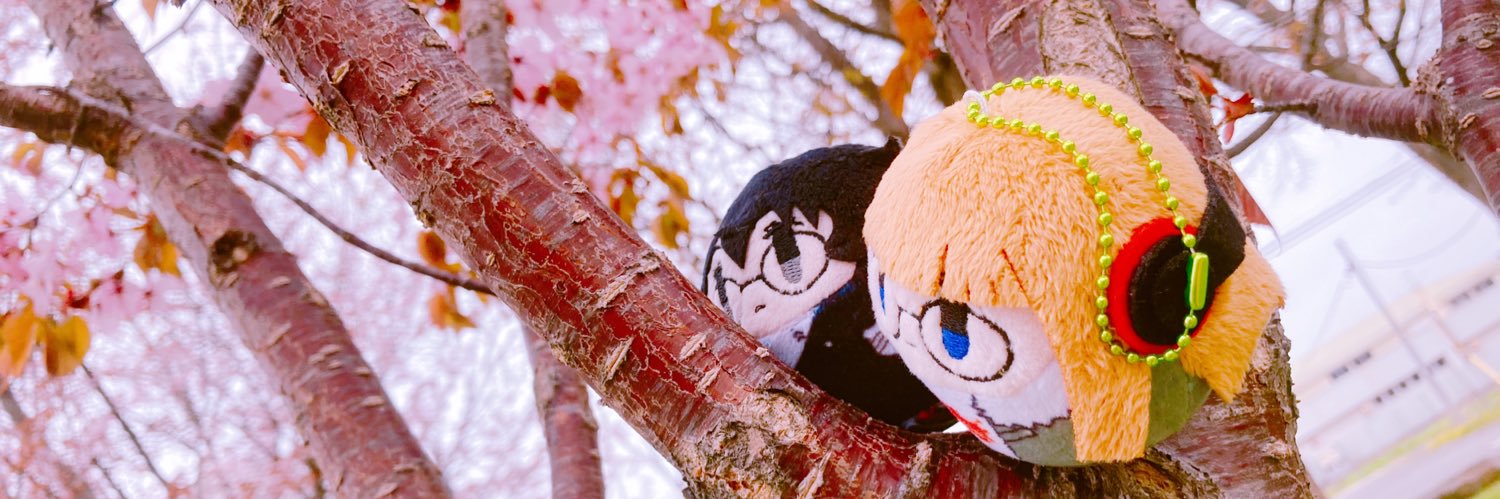𝐊's banner