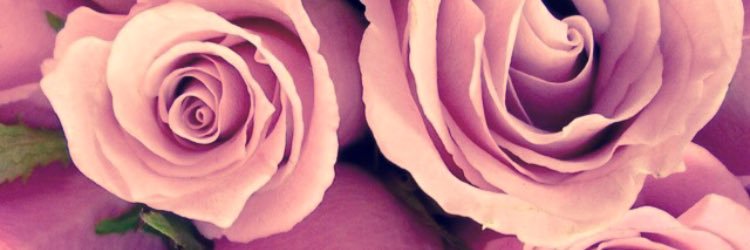 eandeerson's profile banner image