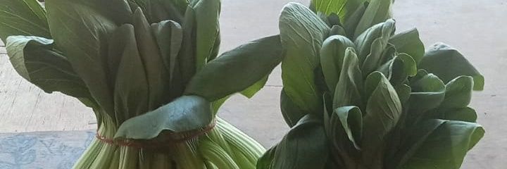 alutsab's profile banner image