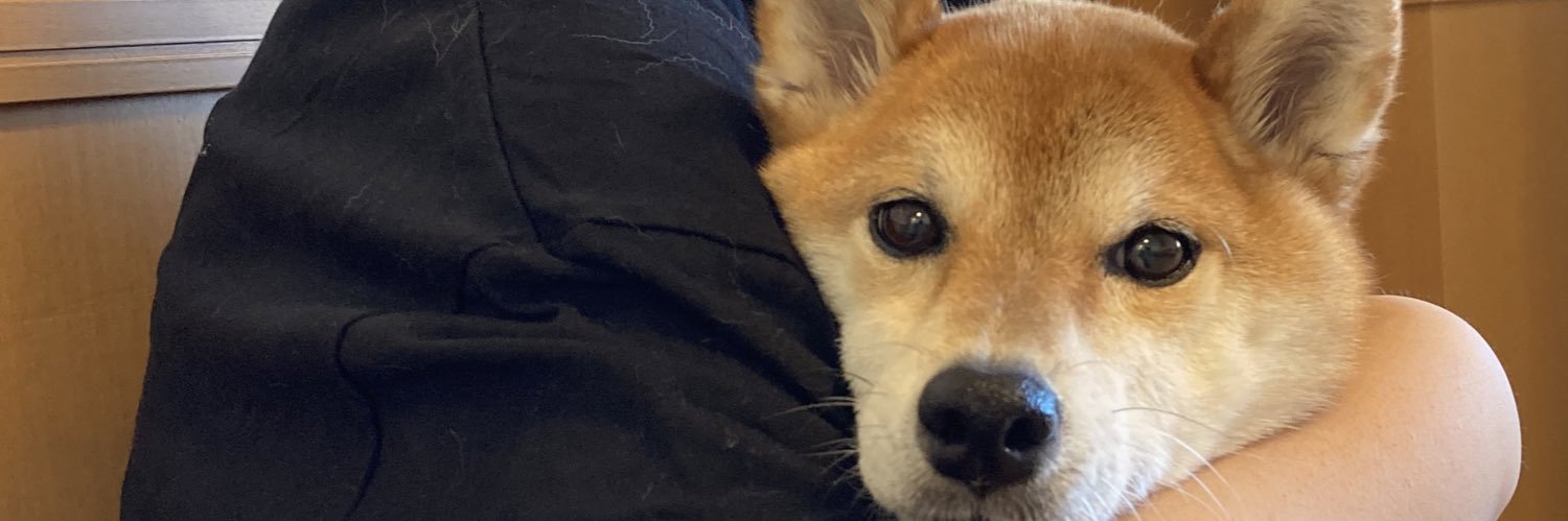 tibiushi's profile banner image
