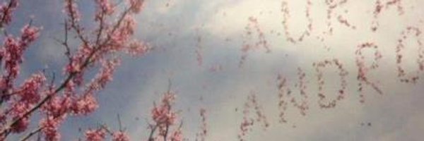 LauraALandro Profile Banner