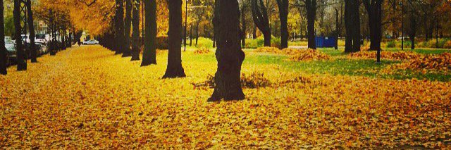 Elisa Kannasto banner