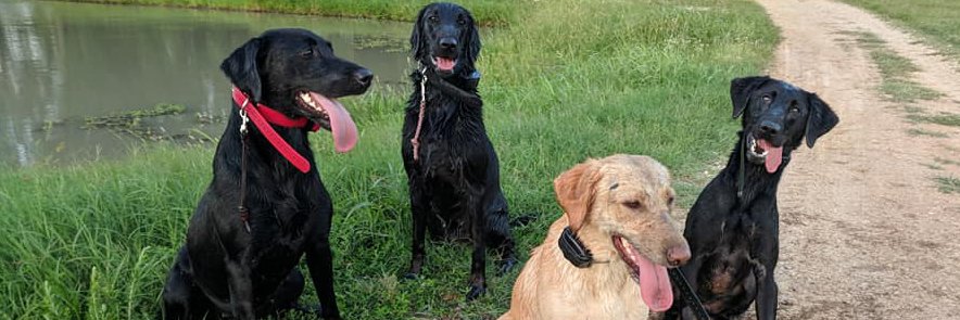 Nuke the Lab🏁 banner