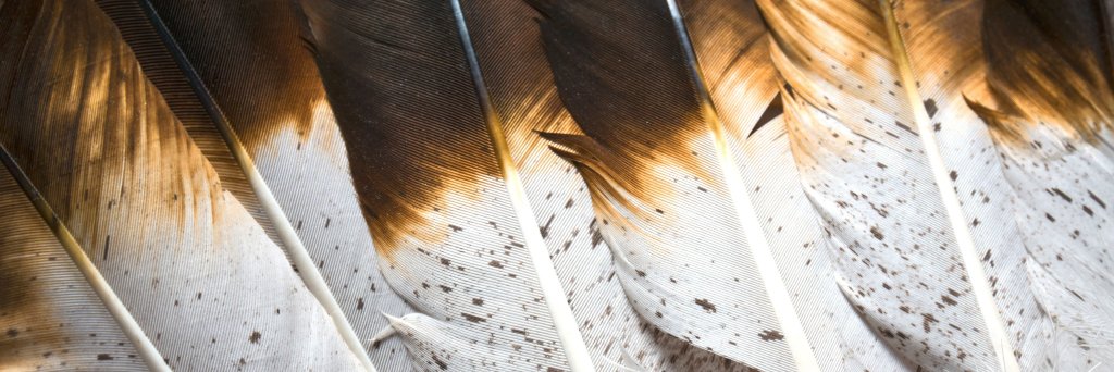 California's Clean Air Project banner