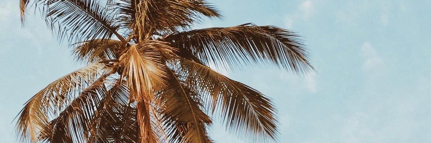 thededrick_'s profile banner image
