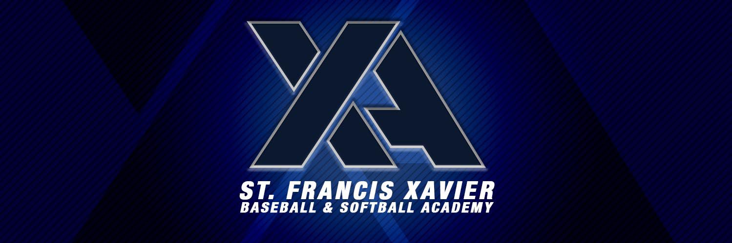 FX Baseball & Softball Academy banner