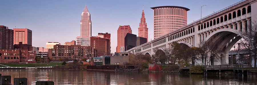 Maria Martucci banner