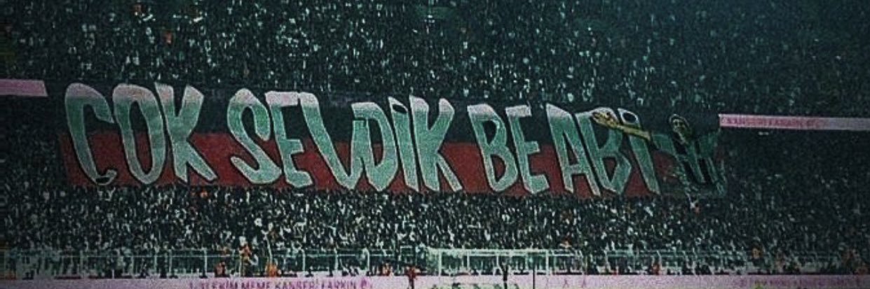 Mehmet Kozan banner